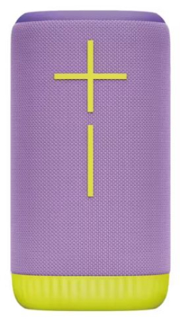 UE - Ultimate Ears EverBoom - Lilac Lime