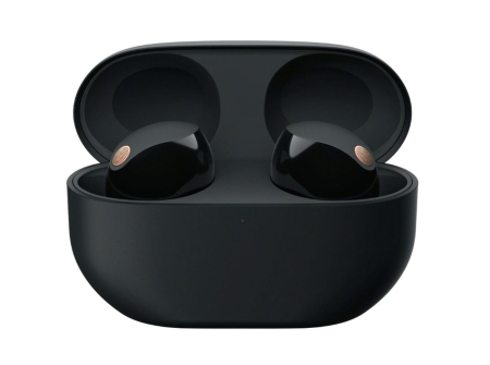 Sony Truly Wireless Earbuds with Noise Cancelling - Black